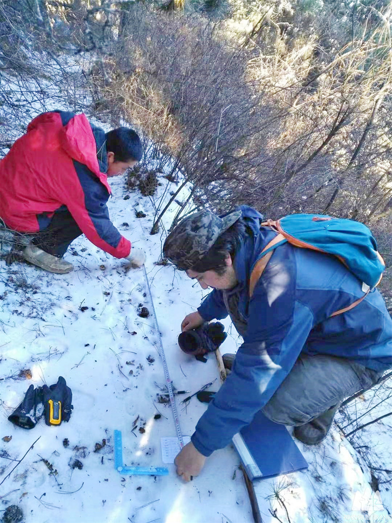 2345_image_file_copy_105.jpg